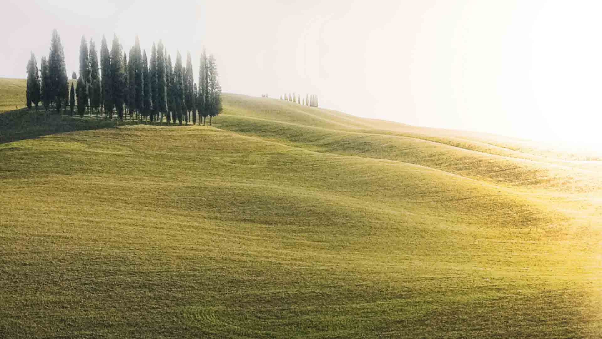 Fannie & Freddie Went up the Hill