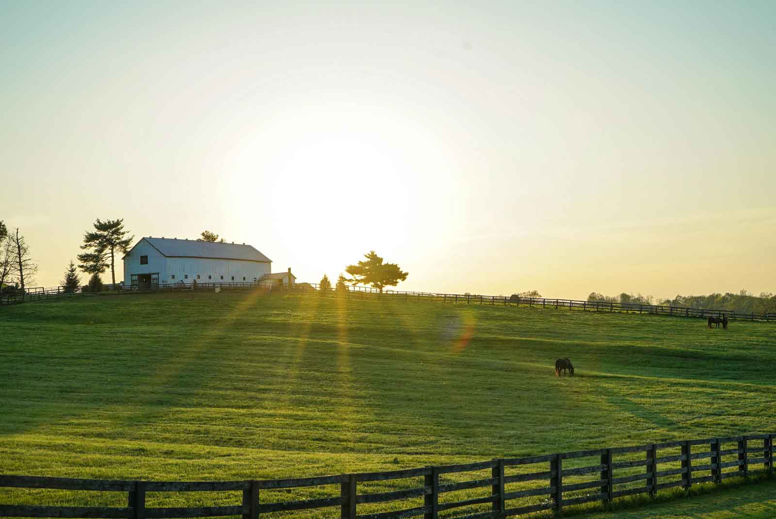 green hill horse pasture with white barn